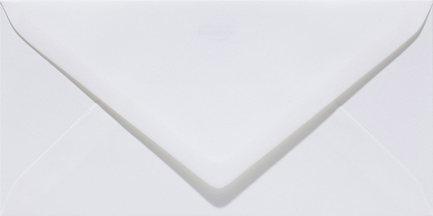 Papicolor Briefumschläge 11 x 22 cm (DL) 100g