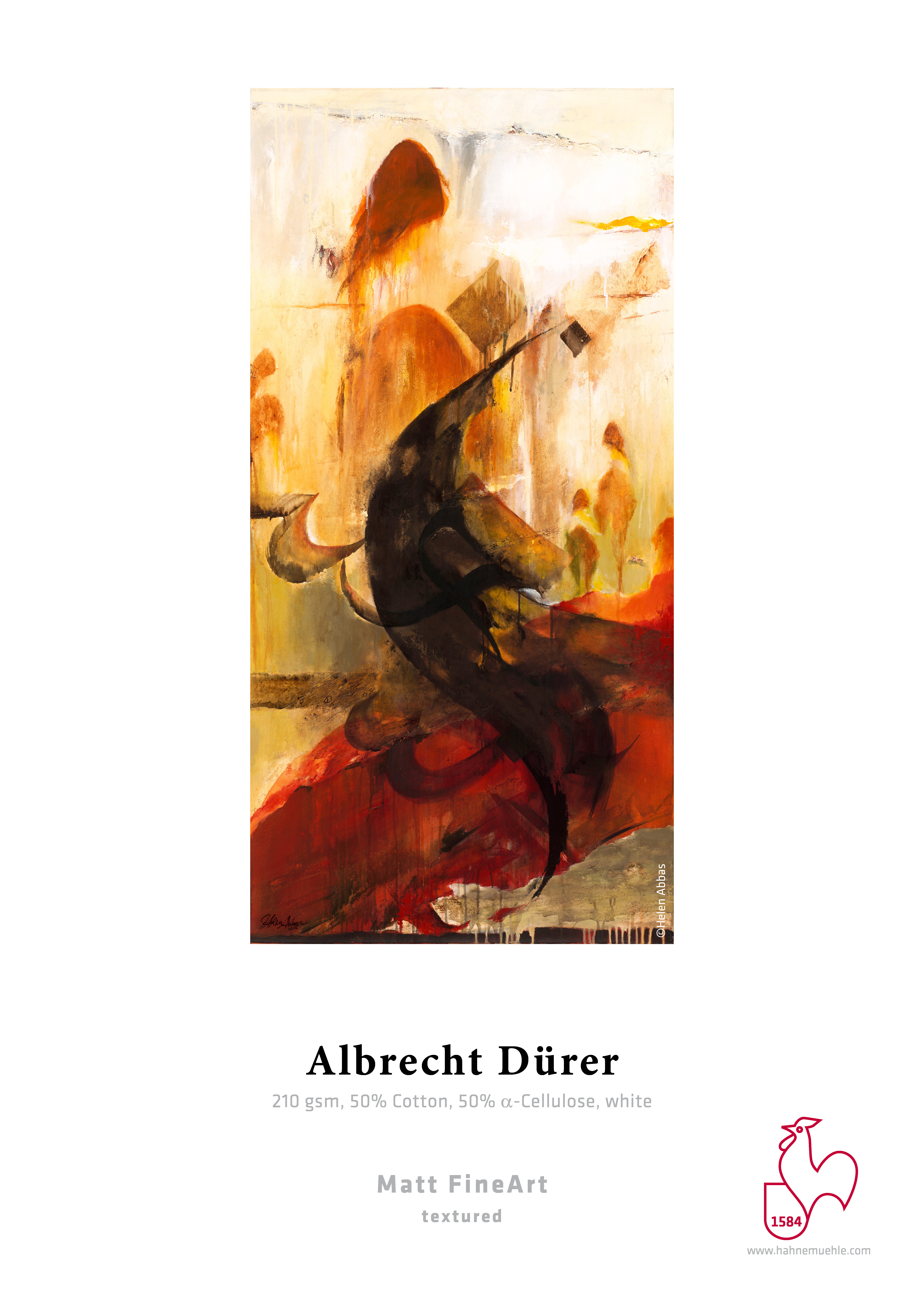 Hahnemühle FineArt Albrecht Dürer 210g