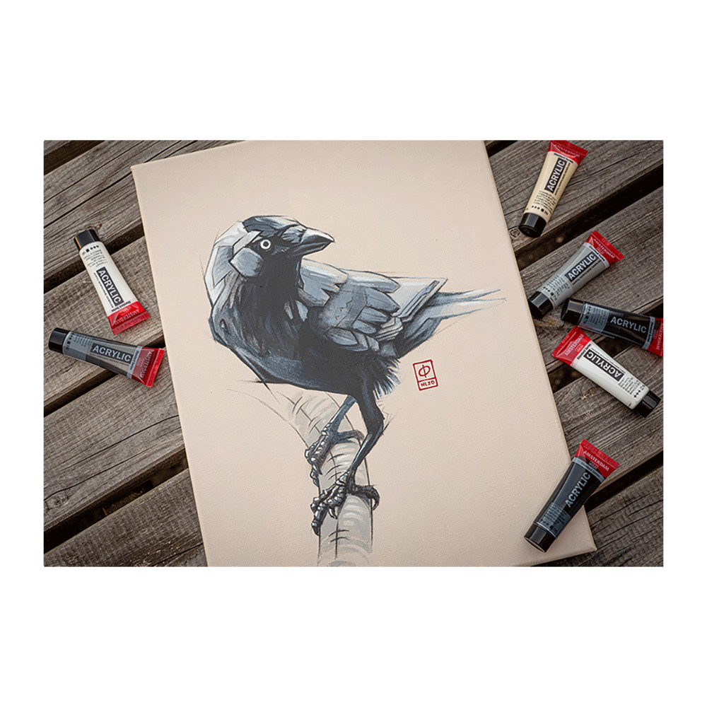 Amsterdam Acrylfarbe Standard, Grautöne Set 12 x 20 ml